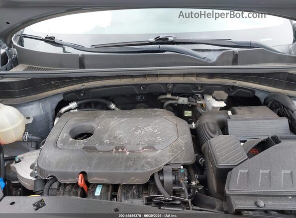 KNDP6CAC4N7949556 2022 KIA SPORTAGE Gray Widok z tyłu
