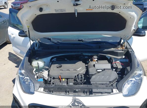 KNDP6CACXL7683070 2020 KIA SPORTAGE White Widok z tyłu