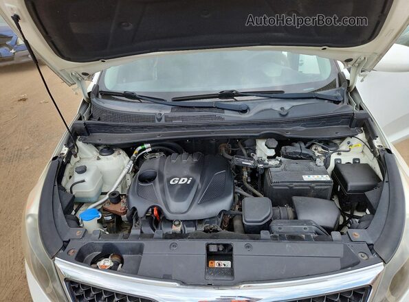 KNDPB3AC1G7812492 2016 KIA SPORTAGE White Engine compartment view