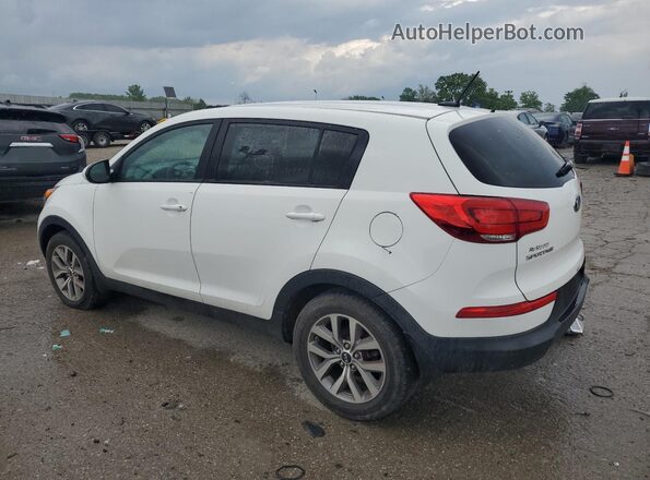 KNDPB3AC3G7856848 2016 KIA SPORTAGE Белый Задняя левая четверть