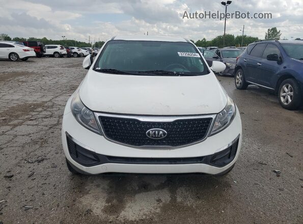 KNDPB3AC3G7856848 2016 KIA SPORTAGE Белый Вид спереди
