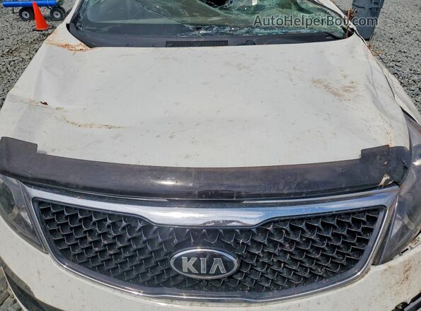 KNDPB3AC7G7806499 2016 KIA SPORTAGE White Սալոնի հետևի տեսք