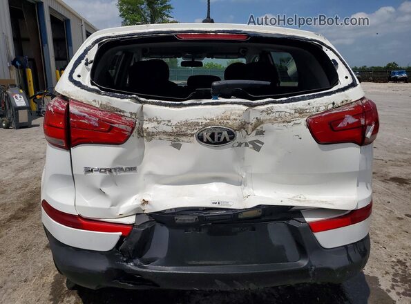KNDPB3AC8G7880675 2016 KIA SPORTAGE White Widok z tyłu