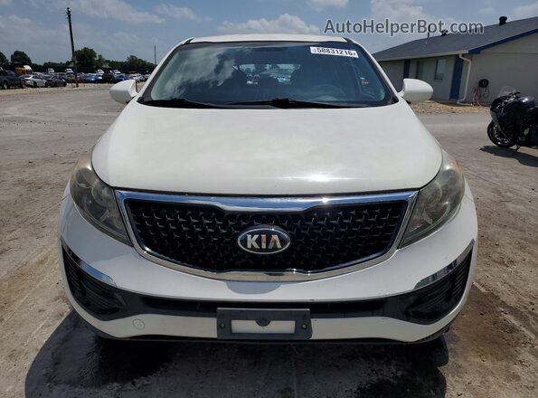 KNDPB3AC8G7880675 2016 KIA SPORTAGE White Widok z przodu