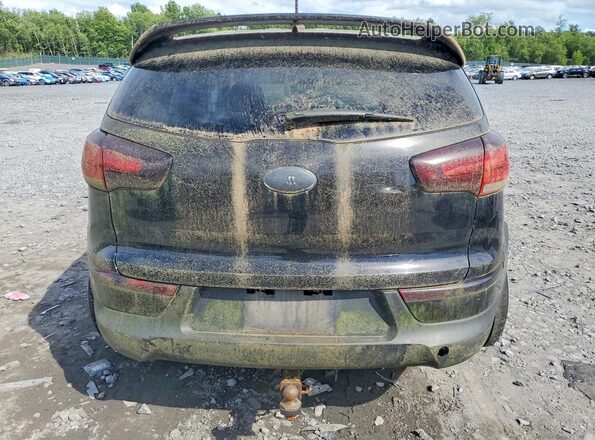 KNDPBCAC4G7806248 2016 KIA SPORTAGE Black Widok z tyłu