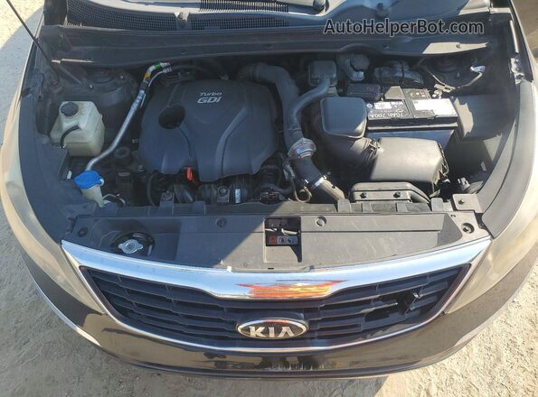 KNDPC3A67G7831636 2016 KIA SPORTAGE Black 