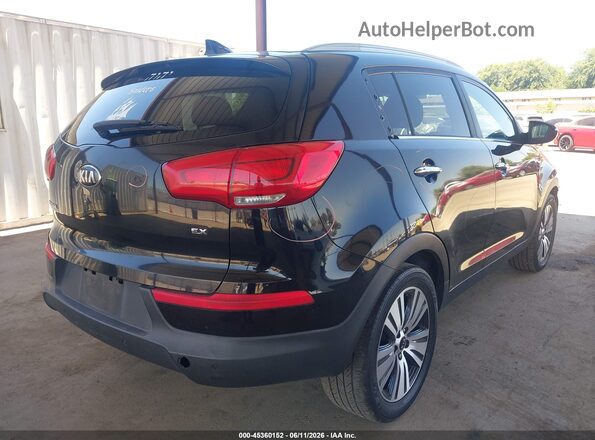 KNDPC3AC6G7805664 2016 KIA SPORTAGE Black Հետևի աջ