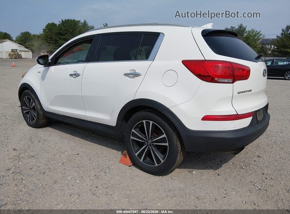 KNDPCCA63G7815899 2016 KIA SPORTAGE Белый Задняя левая четверть