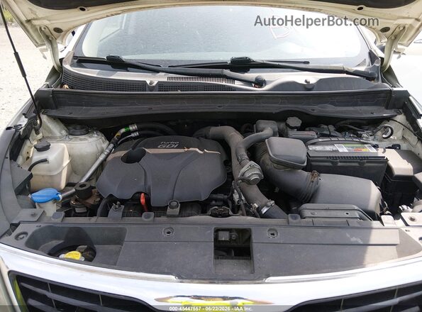 KNDPCCA63G7815899 2016 KIA SPORTAGE Белый Вид сзади