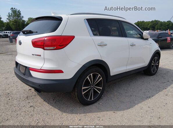 KNDPCCA63G7815899 2016 KIA SPORTAGE Белый Задняя правая четверть