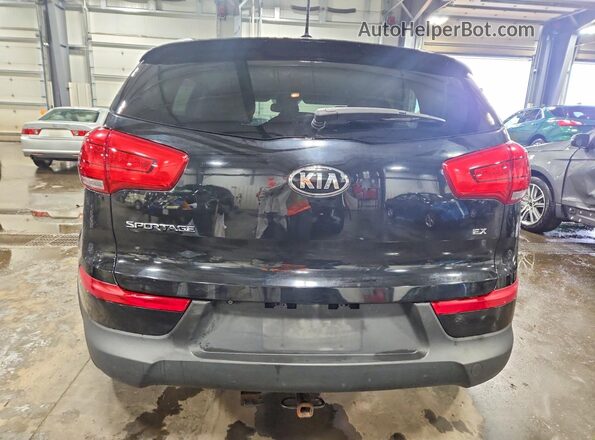 KNDPCCAC1G7816877 2016 KIA SPORTAGE Black Rear view