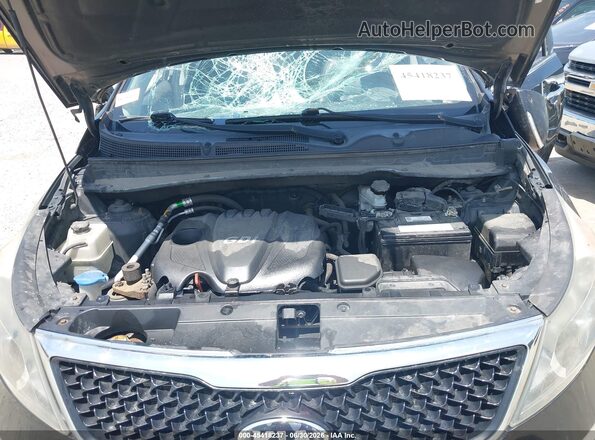 KNDPCCAC6G7832041 2016 KIA SPORTAGE Gray Widok z tyłu