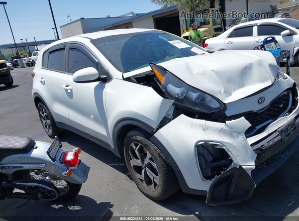 KNDPM3AC0M7855436 2021 KIA SPORTAGE Белый Вид задней части салона