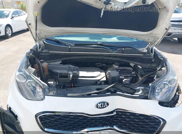 KNDPM3AC0M7892633 2021 KIA SPORTAGE White უკანა ხედი