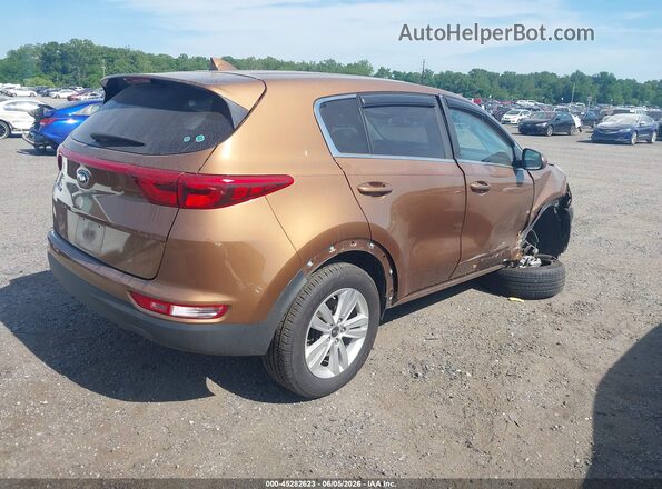 KNDPM3AC1K7500059 2019 KIA SPORTAGE Gold Հետևի աջ