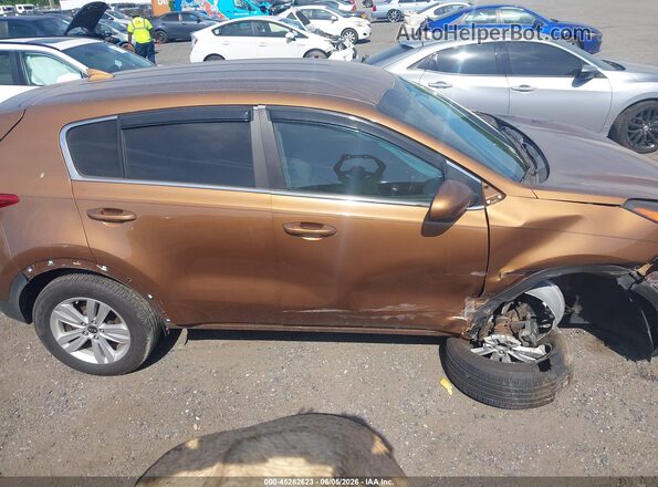 KNDPM3AC1K7500059 2019 KIA SPORTAGE Gold Սալոնի հետևի տեսք