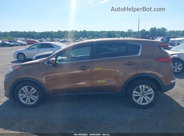 KNDPM3AC1K7500059 2019 KIA SPORTAGE Gold Սալոնի 360 աստիճան տեսք