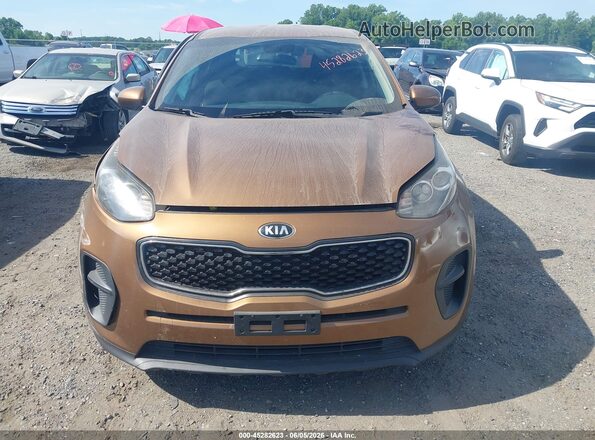 KNDPM3AC1K7500059 2019 KIA SPORTAGE Gold Սարքավորումների վահանակի տեսք
