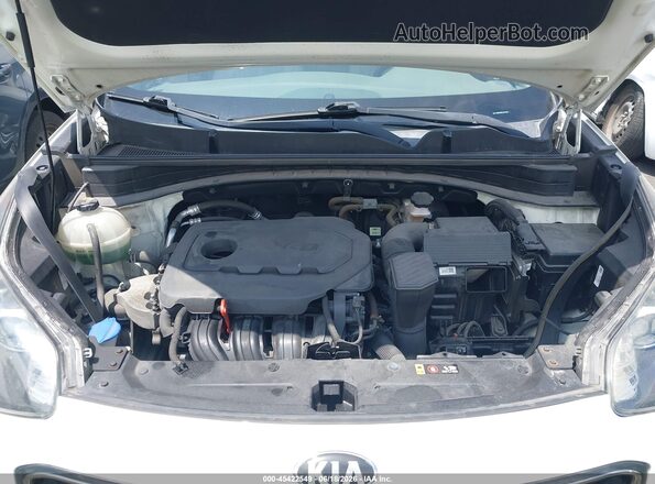 KNDPM3AC1K7573965 2019 KIA SPORTAGE White უკანა ხედი