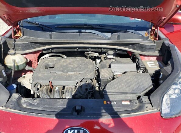 KNDPM3AC1L7776095 2020 KIA SPORTAGE Красный Вид задней части салона