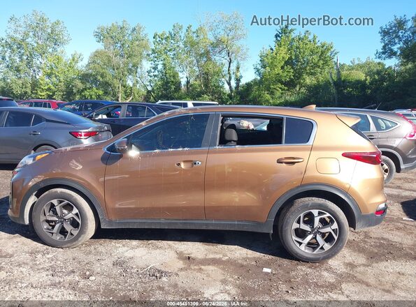 KNDPM3AC2M7924479 2021 KIA SPORTAGE Orange უკანა სალონის ხედი