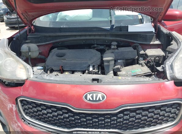 KNDPM3AC3H7050083 2017 KIA SPORTAGE Красный Вид сзади