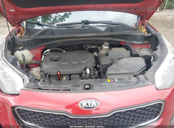 KNDPM3AC3H7070625 2017 KIA SPORTAGE Red უკანა ხედი