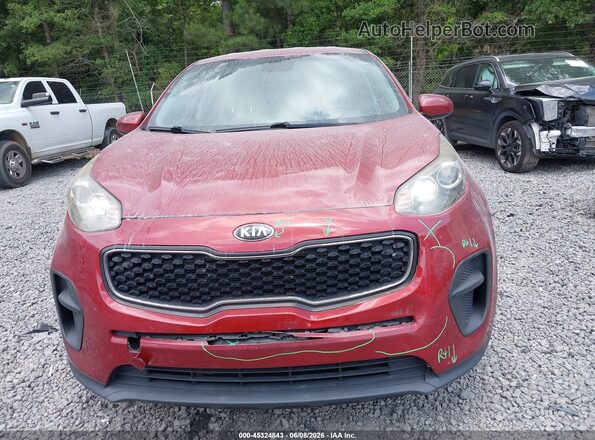 KNDPM3AC3K7539865 2019 KIA SPORTAGE Red Սալոնի հետևի տեսք