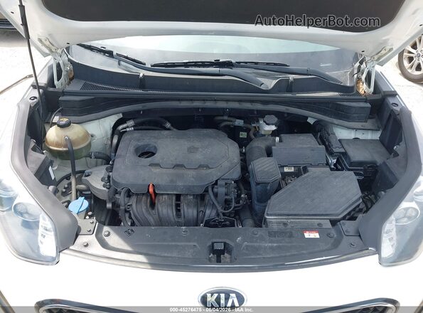 KNDPM3AC5N7005562 2022 KIA SPORTAGE Белый Вид сзади