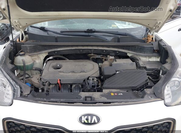 KNDPM3AC6H7137783 2017 KIA SPORTAGE Белый Вид сзади