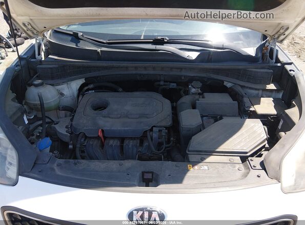 KNDPM3AC6K7543697 2019 KIA SPORTAGE White Հետևի տեսք