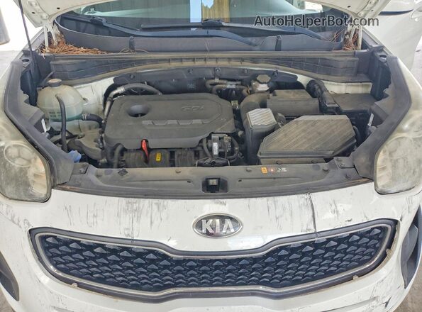 KNDPM3AC7H7240842 2017 KIA SPORTAGE White 