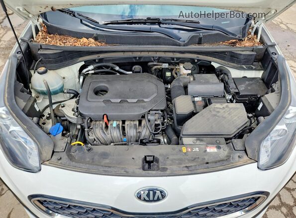KNDPM3AC8L7729193 2020 KIA SPORTAGE White 