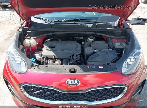 KNDPM3ACXM7881574 2021 KIA SPORTAGE Красный Вид сзади