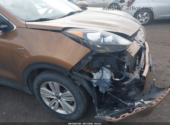 KNDPMCAC0H7164056 2017 KIA SPORTAGE Brown 