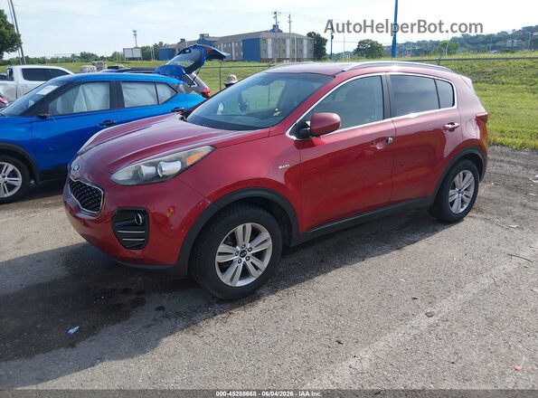KNDPMCAC1H7157035 2017 KIA SPORTAGE Red Vista tres cuartos delantera izquierda