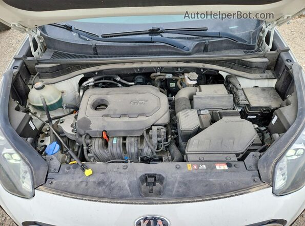 KNDPMCAC2L7812571 2020 KIA SPORTAGE White უკანა სალონის ხედი