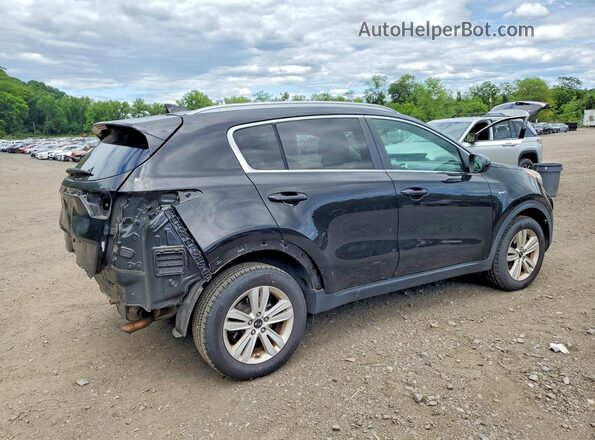 KNDPMCAC3H7103218 2017 KIA SPORTAGE Black Tył prawy