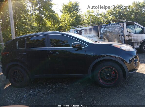 KNDPMCAC5H7042826 2017 KIA SPORTAGE Black Widok wnętrza z tyłu