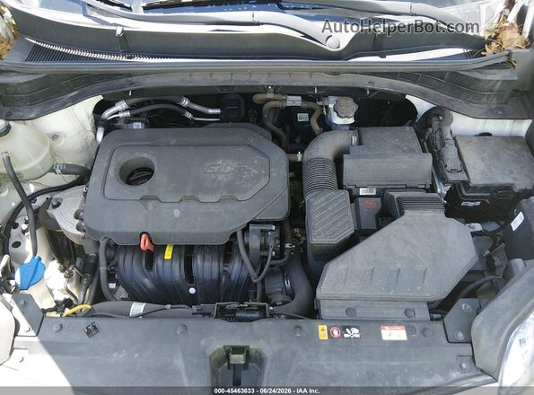 KNDPMCAC5L7785642 2020 KIA SPORTAGE White Rear view