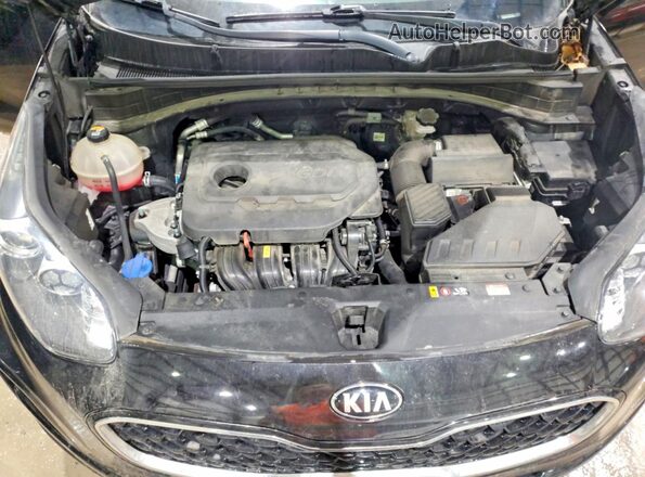 KNDPMCAC6N7999042 2022 KIA SPORTAGE Black Սալոնի հետևի տեսք