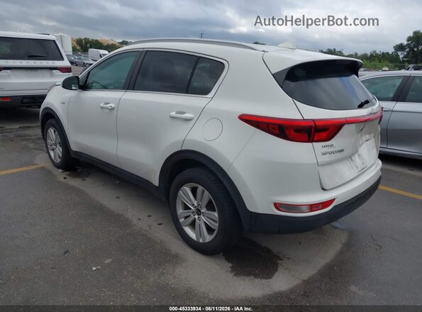 KNDPMCAC7K7605477 2019 KIA SPORTAGE White Trasero izquierdo