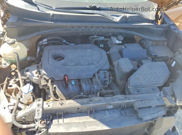 KNDPN3ACXL7641842 2020 KIA SPORTAGE Tan Սալոնի հետևի տեսք