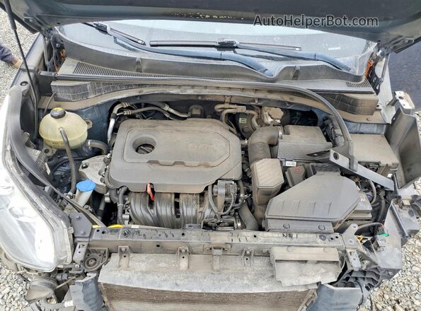 KNDPNCAC0K7535687 2019 KIA SPORTAGE Blue Vista del compartimento del motor