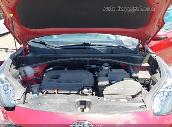 KNDPNCAC2N7016032 2022 KIA SPORTAGE Red Widok z tyłu