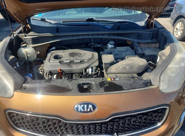 KNDPNCACXJ7373663 2018 KIA SPORTAGE Gold Widok wnętrza z tyłu