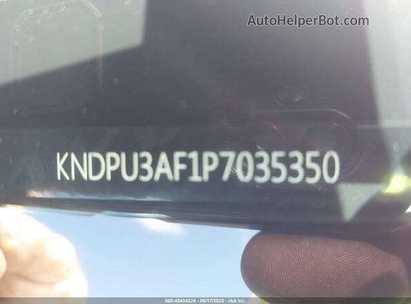 KNDPU3AF1P7035350 2023 KIA SPORTAGE White 