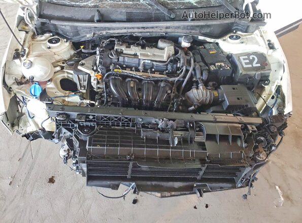 KNDPU3AF8P7183852 2023 KIA SPORTAGE Red 