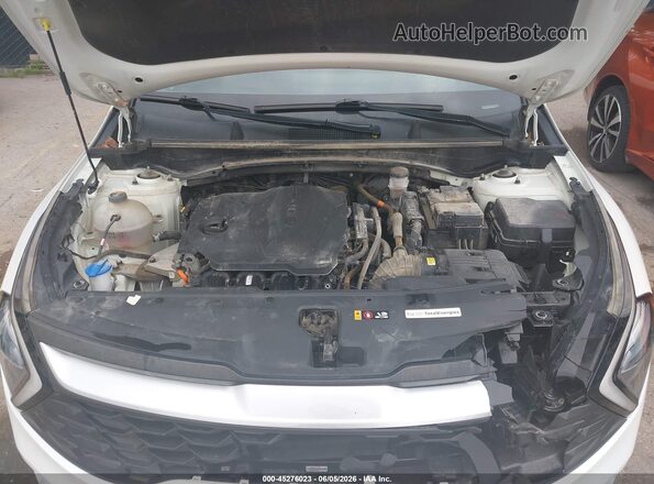 KNDPU3AF9P7181057 2023 KIA SPORTAGE Белый Вид сзади