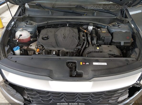 KNDPUCDF5R7278738 2024 KIA SPORTAGE Gray Հետևի տեսք